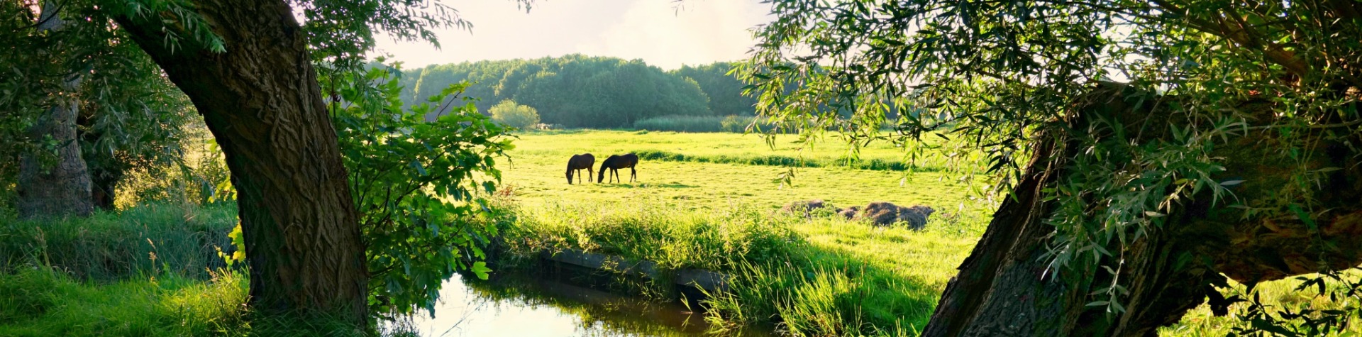 TipLansingerland